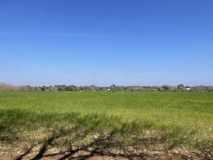 Authentic Stone Casale for Sale in San Vito dei Normanni, Apulia, Italy