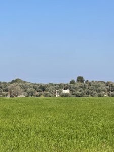 Authentic Stone Casale for Sale in San Vito dei Normanni, Apulia, Italy