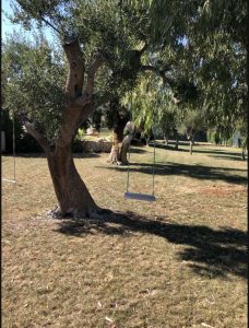 Luxury villa for sale Carovigno