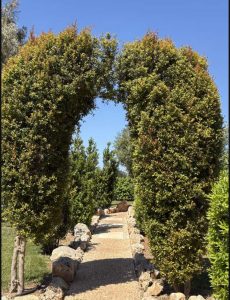 Luxury villa for sale Carovigno