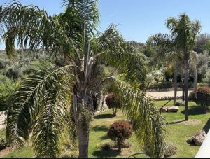 Luxury villa for sale Carovigno