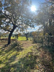 Building Plot with Approved Villa and Pool Project in Carovigno, Apulia, Italy