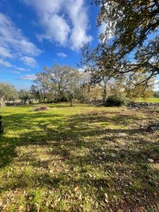Building Plot with Approved Villa and Pool Project in Carovigno, Apulia, Italy
