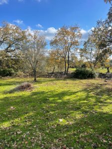 Building Plot with Approved Villa and Pool Project in Carovigno, Apulia, Italy