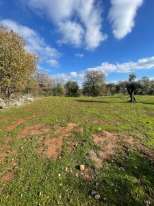 Building Plot with Approved Villa and Pool Project in Carovigno, Apulia, Italy