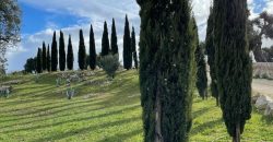 Stunning Hilltop Villa for Sale with panoramic View
