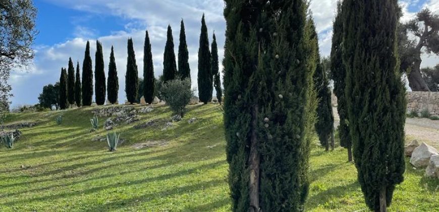 Stunning Hilltop Villa for Sale with panoramic View