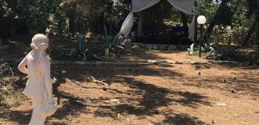 SOLD – Super Charming Trullo in Ostuni: Your Slice of Simplicity and Serenity in Apulia Awaits!