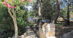 SOLD – Super Charming Trullo in Ostuni: Your Slice of Simplicity and Serenity in Apulia Awaits!