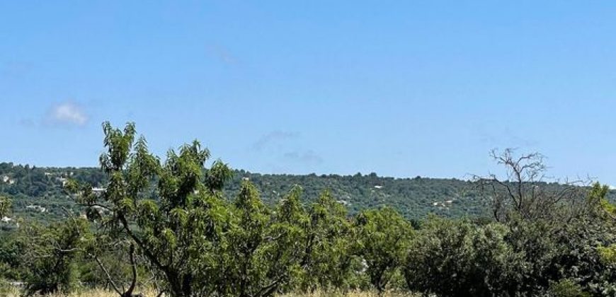 SOLD – Super Charming Trullo in Ostuni: Your Slice of Simplicity and Serenity in Apulia Awaits!