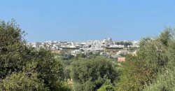 9 room exclusive farmhouse for sale in Ceglie Messapica, Italy