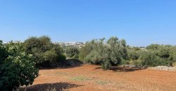 9 room exclusive farmhouse for sale in Ceglie Messapica, Italy