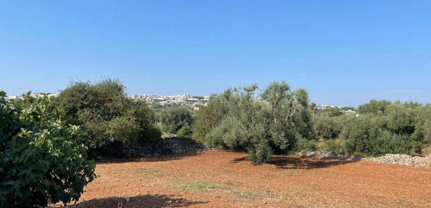 9 room exclusive farmhouse for sale in Ceglie Messapica, Italy