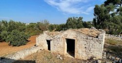 9 room exclusive farmhouse for sale in Ceglie Messapica, Italy