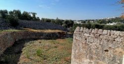 9 room exclusive farmhouse for sale in Ceglie Messapica, Italy