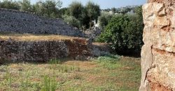 9 room exclusive farmhouse for sale in Ceglie Messapica, Italy