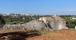 9 room exclusive farmhouse for sale in Ceglie Messapica, Italy