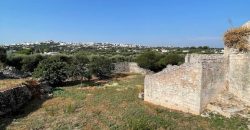 9 room exclusive farmhouse for sale in Ceglie Messapica, Italy