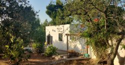 Lamia with Trullo for Sale Ostuni, Italy