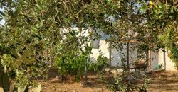 Lamia with Trullo for Sale Ostuni, Italy