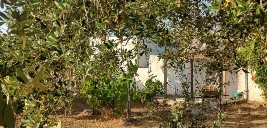 Lamia with Trullo for Sale Ostuni, Italy