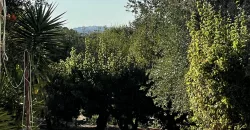 Lamia with Trullo for Sale Ostuni, Italy