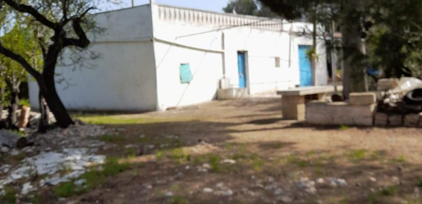 Beautiful Opportunity for sale