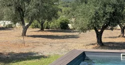 Trullo Domenico