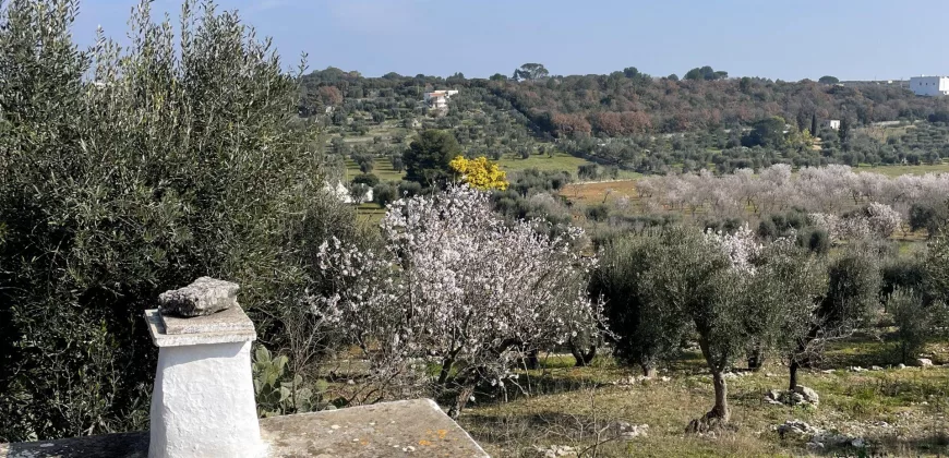Trullo in Ostuni with Panoramic views for sale
