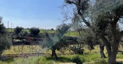 Beautiful historic Casale for sale