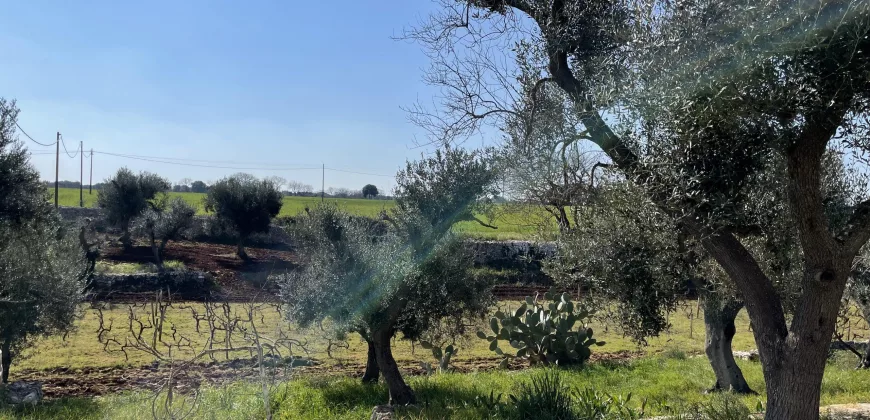 Beautiful historic Casale for sale