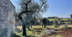 Beautiful historic Casale for sale