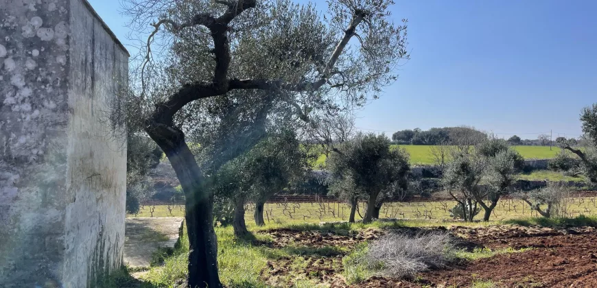 Beautiful historic Casale for sale