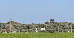 Beautiful historic Casale for sale
