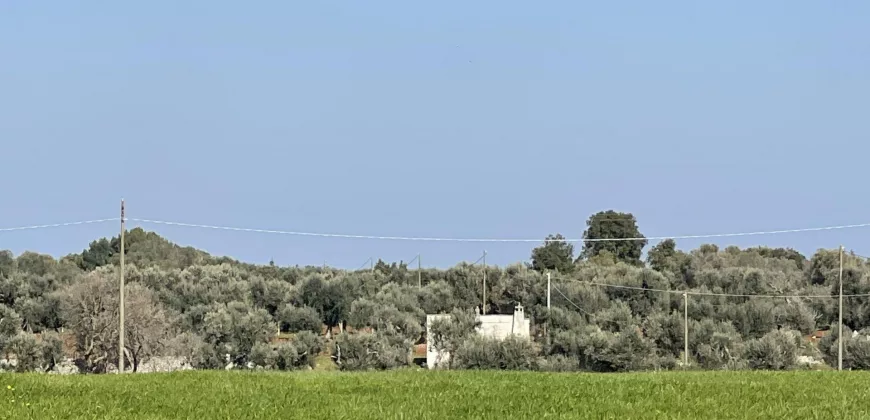 Beautiful historic Casale for sale