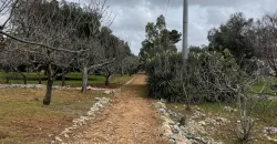 Beautiful Opportunity for sale