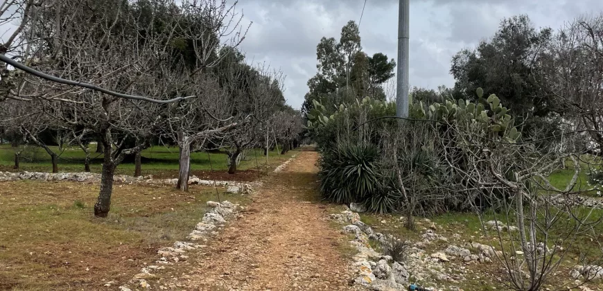 Beautiful Opportunity for sale