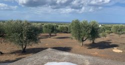 Trullo Domenico