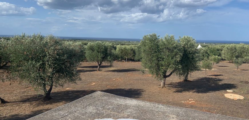 Trullo Domenico