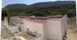Sea-View Masseria for sale, Fasano
