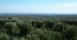 Sea-View Masseria for sale, Fasano