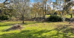 Exclusive Building Project in Carovigno, Apulia
