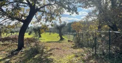 Exclusive Building Project in Carovigno, Apulia