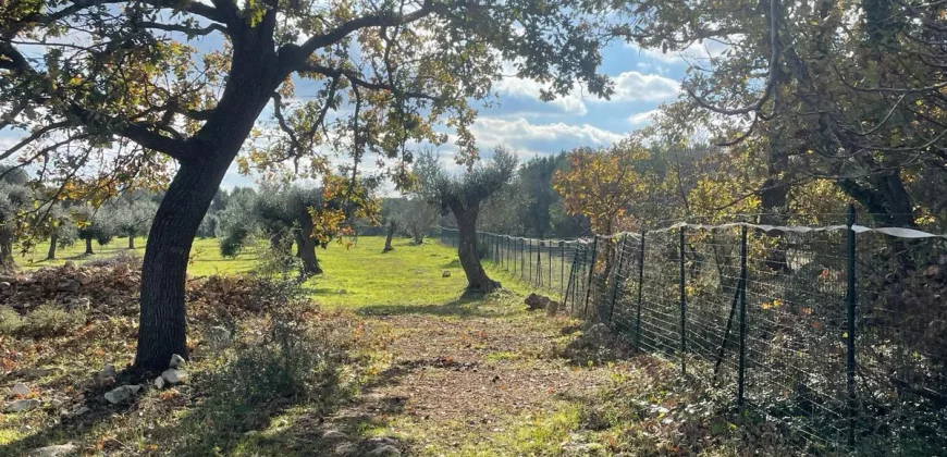 Exclusive Building Project in Carovigno, Apulia