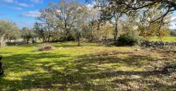 Exclusive Building Project in Carovigno, Apulia