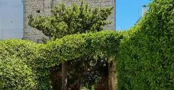 Palazzo for Sale, Ostuni