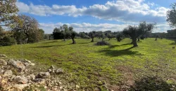 Exclusive Building Project in Carovigno, Apulia