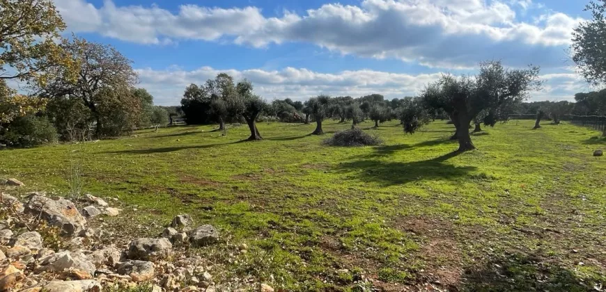 Exclusive Building Project in Carovigno, Apulia