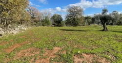 Exclusive Building Project in Carovigno, Apulia