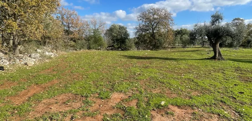 Exclusive Building Project in Carovigno, Apulia